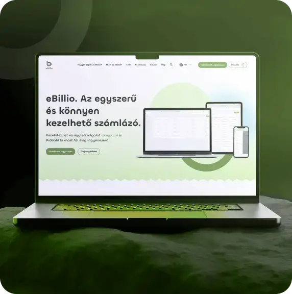 Referencia kép 5